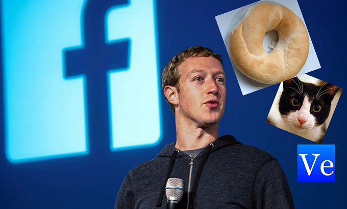 Poor Mark Zuckerberg.  He's being attacked by mad scientists. virtual cats and bagels.