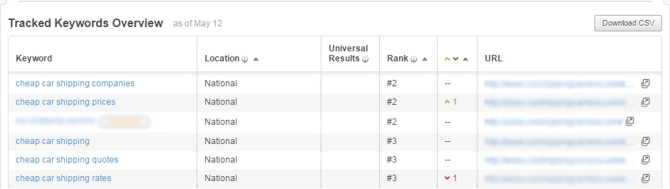 Click to View Larger Image of Our Keyword Ranking Results