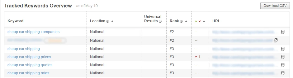 Click to View Larger Image of Our Keyword Ranking Results